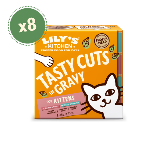 Lily's kitchen kitten best sale food