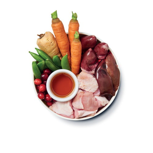 Senior Recipe for Older Dogs (150g)