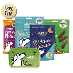 Christmas Stocking Fillers for Dogs