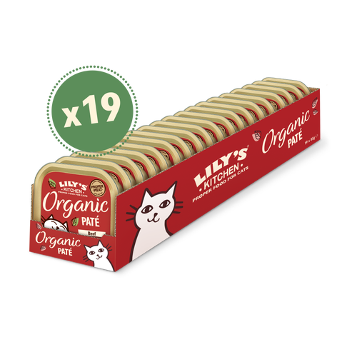 Lily's kitchen shop organic cat food