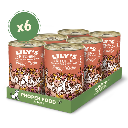 Lily's kitchen puppy wet food 2025