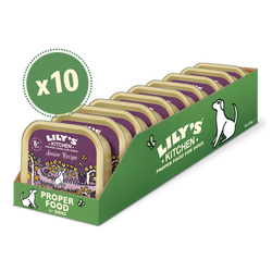 Senior Recipe for Older Dogs (10 x 150g)