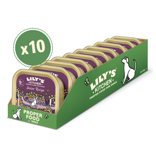 Senior Recipe for Older Dogs (10 x 150g)