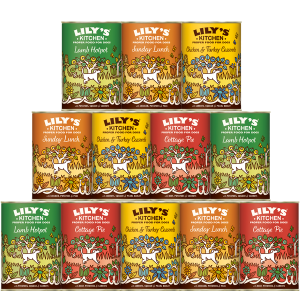 Lily's kitchen online bulk buy