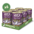 Senior Recipe for Older Dogs (6 x 400g)