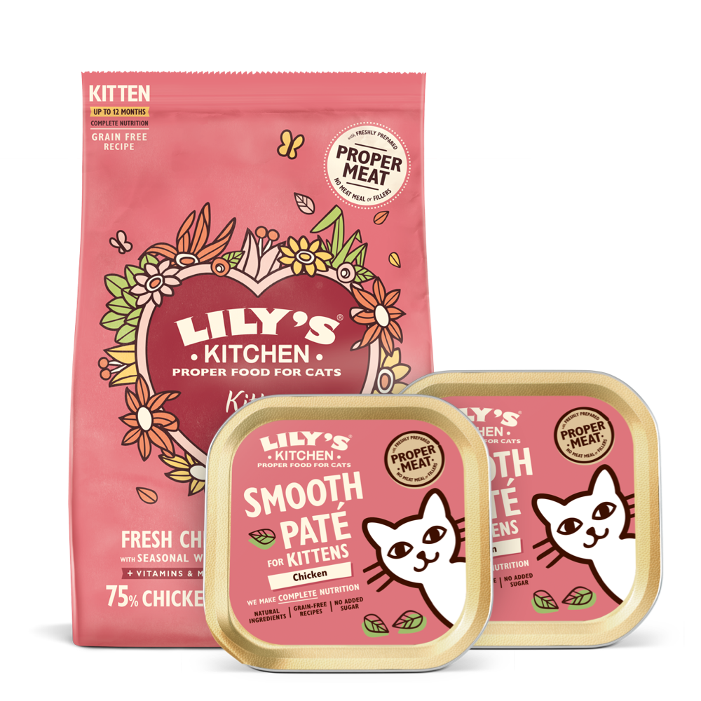 best meat for kittens