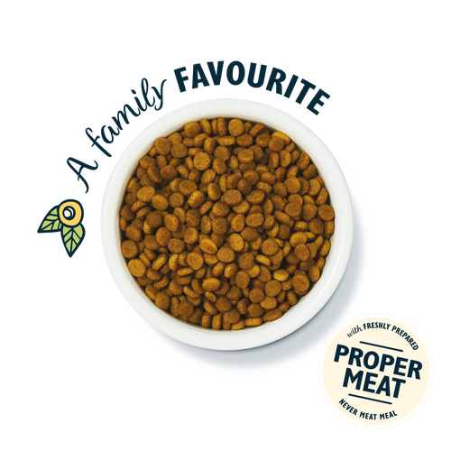 Fish & Turkey Senior Dry Food (4 x 800g)