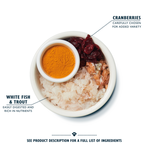 Fish & Turkey Senior Dry Food (800g)