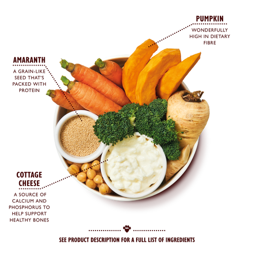 Wholesome Veggie Feast (6 x 375g)