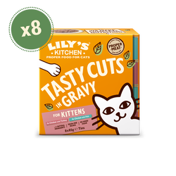 Lily's kitten food 2025