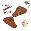 The Mighty Duck Mini Jerky (8 x 70g)