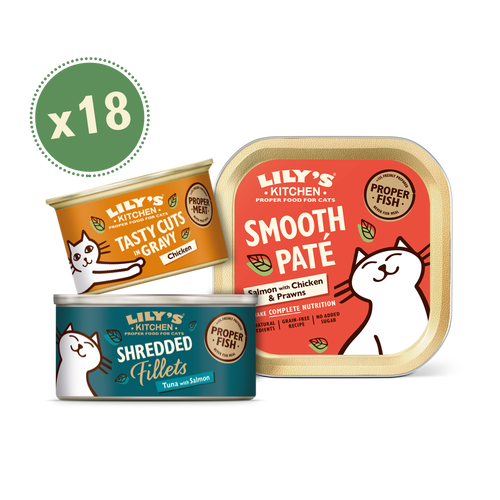 Large Texture Taster Bundle for Cats