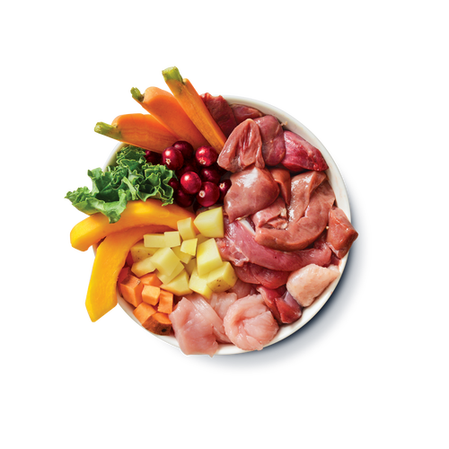 Turkey & Duck Puppy Recipe (6 x 400g)