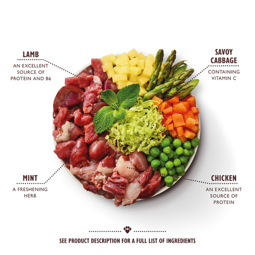 Springtime Stew (150g)