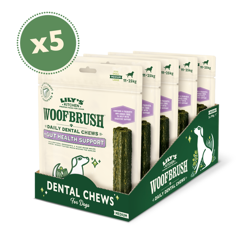 Lily's kitchen woofbrush medium shop