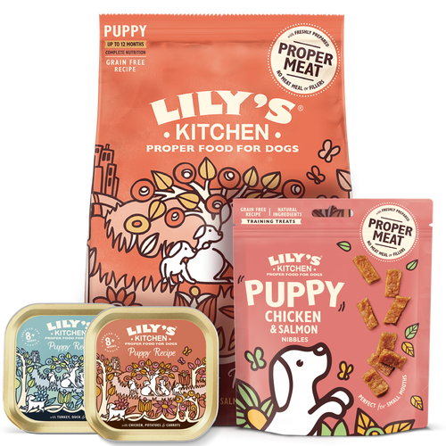 Lily's kitchen puppy shop