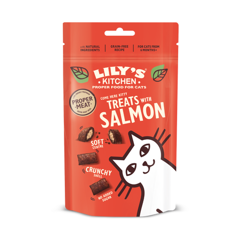 Treats with Salmon (60g)