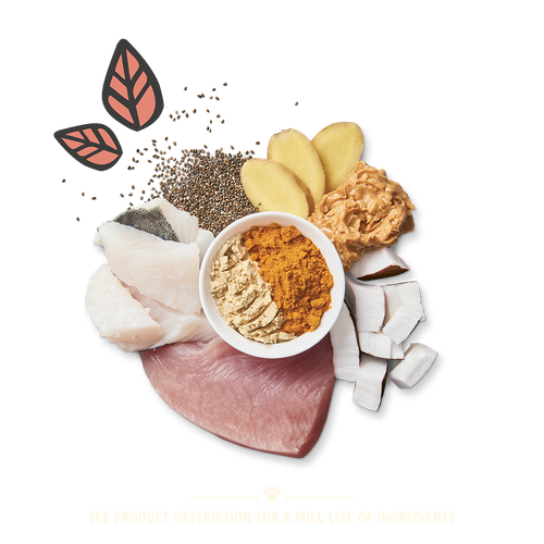 Turkey & Whitefish Protein Bites (12 x 40g)