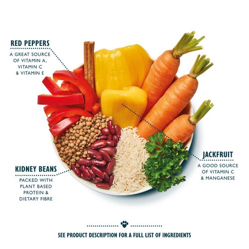 Mighty Burrito Bowl (Vegan Recipe 400g)