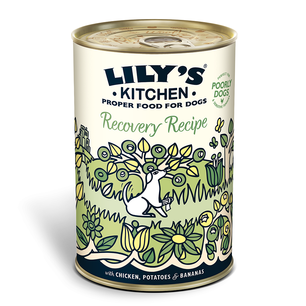 Recovery Recipe for Dogs (400g) | Lily 