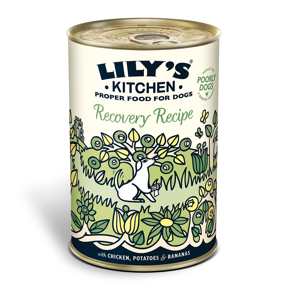 Recovery Recipe For Dogs 400g Lilys Kitchen