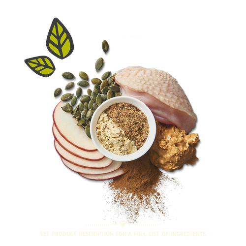 Chicken Protein Bites