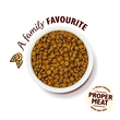 Chicken with White Fish Kitten Dry Food (800g)