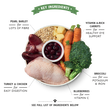 Chicken & Turkey Casserole (400g)
