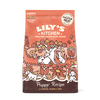 Chicken & Salmon Dry Food for Puppies (1kg)