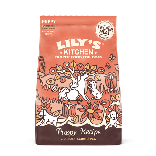 Chicken & Salmon Dry Food for Puppies