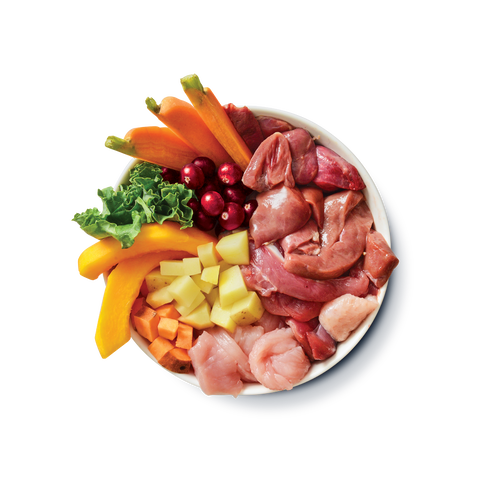 Turkey & Duck Puppy Recipe (10 x 150g)