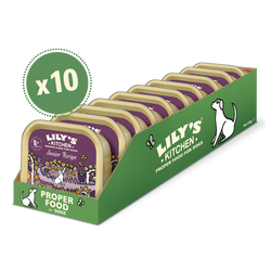 Senior Recipe for Older Dogs (10 x 150g)