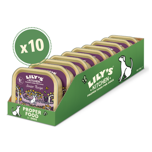 Senior Recipe for Older Dogs (10 x 150g)