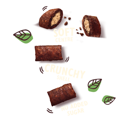 Treats with Salmon (60g)