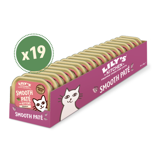 Lily's kitten food outlet
