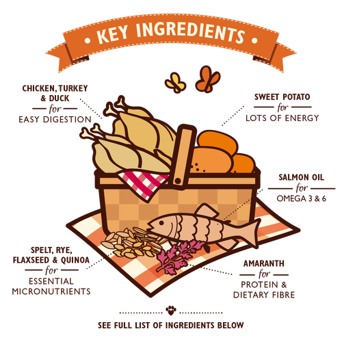 Chicken Dry Food with Ancient Grains
