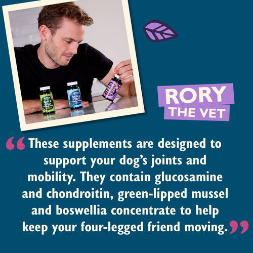 Joints & Mobility Supplements for Dogs