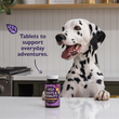 Joints & Mobility Supplements for Dogs