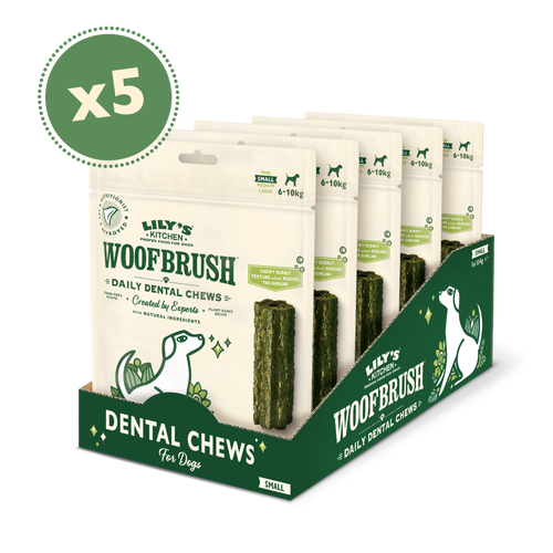 Lily's kitchen dental best sale chew
