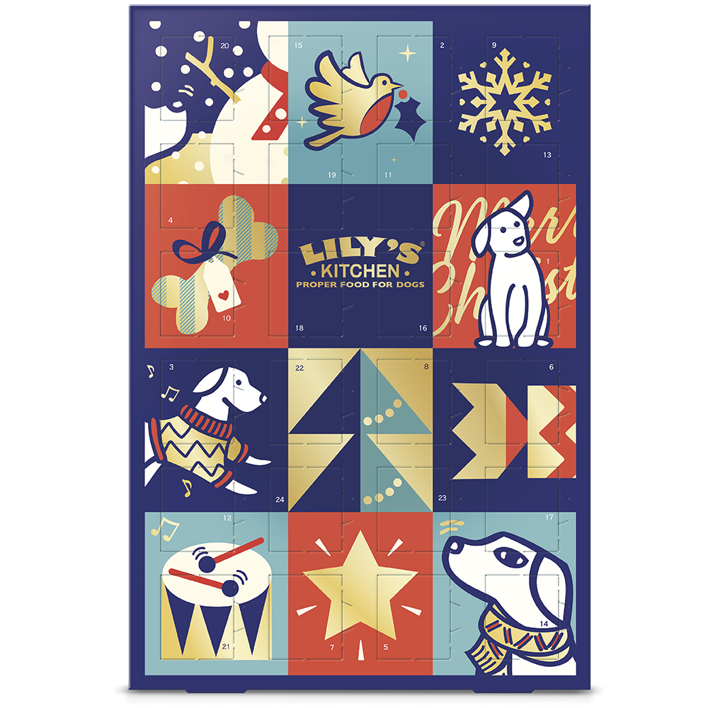 Advent Calendar For Dogs For Dogs 400g Christmas Gifts At