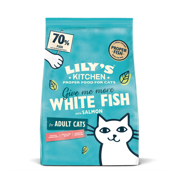 Fish dry food top