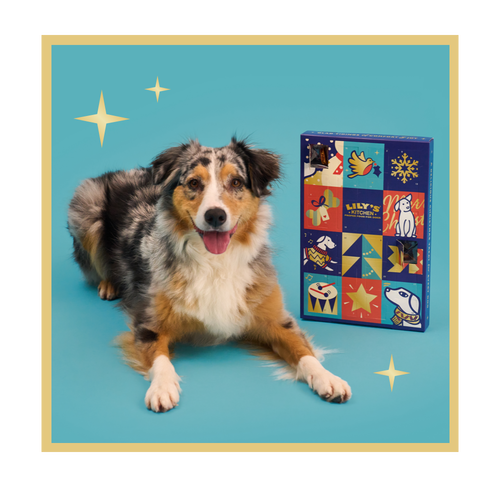 Advent Calendar for Dogs