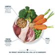 Organic Chicken & Vegetable Dry Food