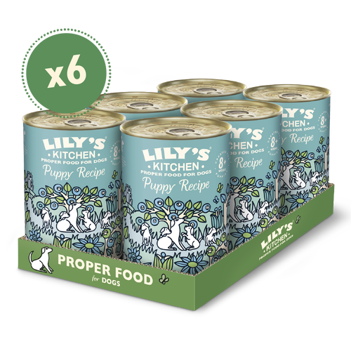 Turkey & Duck Puppy Recipe (6 x 400g)