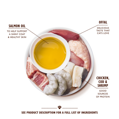 Paté with Chicken, Cod & Shrimp for Mature Cats
