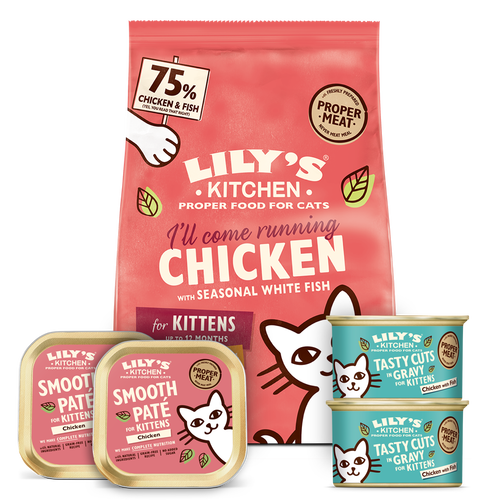 Trial Pack for Kittens