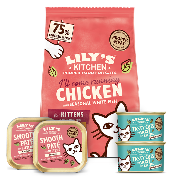 Lily's kitchen kitten dry food store