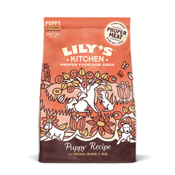 Chicken & Salmon Dry Food for Puppies (1kg)