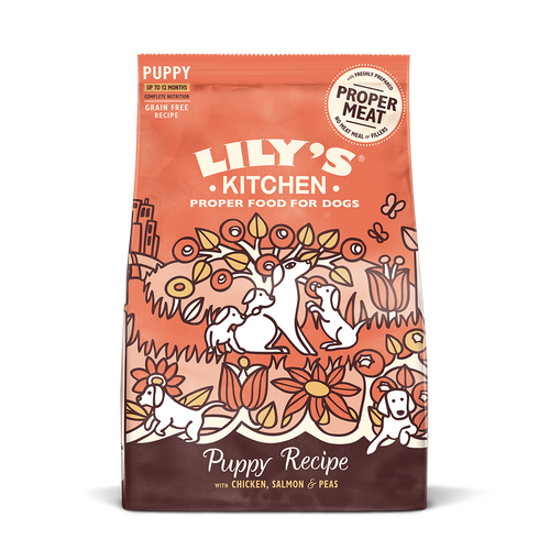 Chicken & Salmon Dry Food for Puppies (1kg)