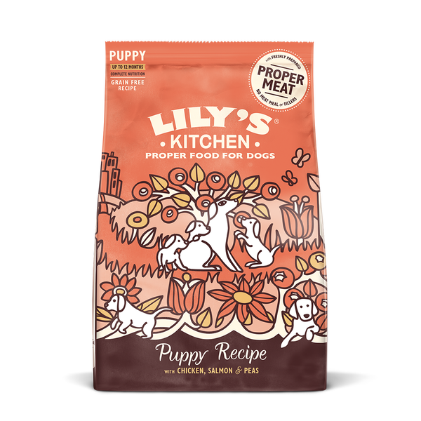Chicken Salmon Dry Food for Puppies Lily s Kitchen